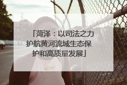 菏泽：以司法之力护航黄河流域生态保护和高质量发展