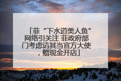 菲“下水道美人鱼”网络引关注 菲政府部门考虑请其当官方大使，赠现金开店