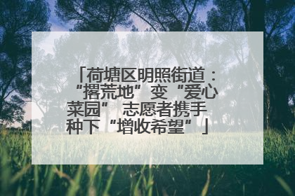 荷塘区明照街道：“撂荒地”变“爱心菜园” 志愿者携手种下“增收希望”