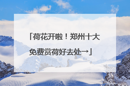 荷花开啦！郑州十大免费赏荷好去处→