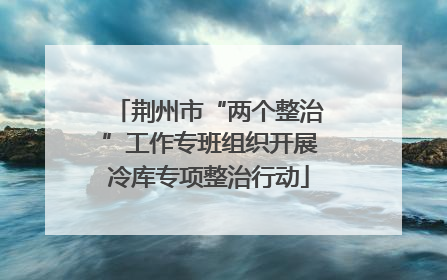 荆州市“两个整治”工作专班组织开展冷库专项整治行动