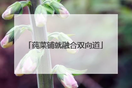 莼菜铺就融合双向道