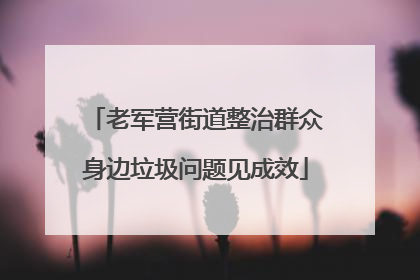 老军营街道整治群众身边垃圾问题见成效