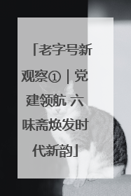 老字号新观察①｜党建领航 六味斋焕发时代新韵
