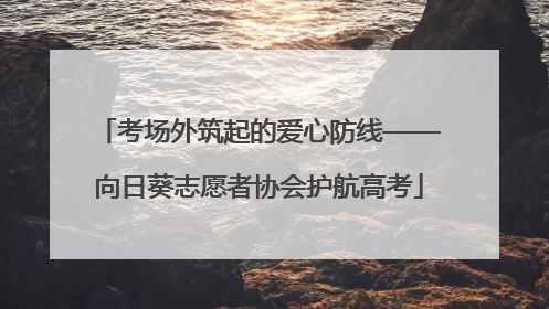 考场外筑起的爱心防线——向日葵志愿者协会护航高考