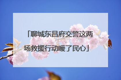 聊城东昌府交警这两场救援行动暖了民心