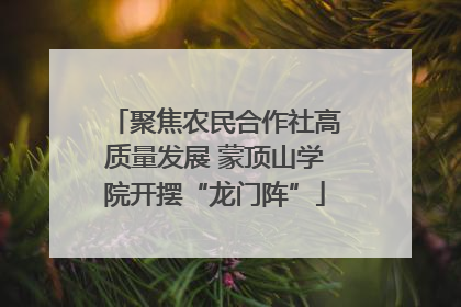 聚焦农民合作社高质量发展 蒙顶山学院开摆“龙门阵”