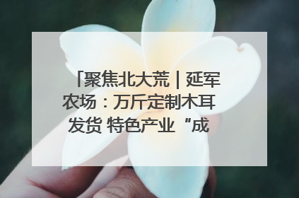 聚焦北大荒｜延军农场：万斤定制木耳发货 特色产业“成绩单”亮眼
