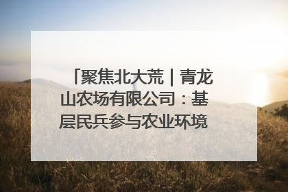 聚焦北大荒｜青龙山农场有限公司：基层民兵参与农业环境综合治理显效