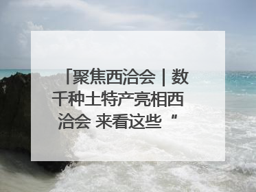 聚焦西洽会｜数千种土特产亮相西洽会 来看这些“爆款”产品