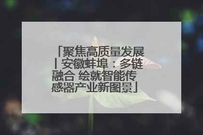 聚焦高质量发展丨安徽蚌埠：多链融合 绘就智能传感器产业新图景
