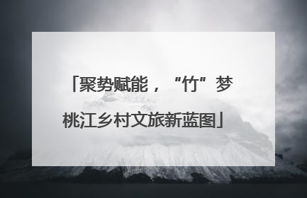 聚势赋能，“竹”梦桃江乡村文旅新蓝图