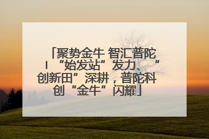聚势金牛 智汇普陀〡“始发站”发力、“创新田”深耕，普陀科创“金牛”闪耀