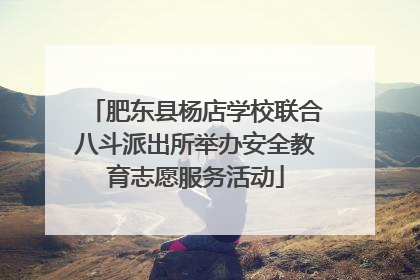 肥东县杨店学校联合八斗派出所举办安全教育志愿服务活动
