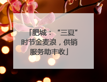 肥城：“三夏”时节金麦浪，供销服务助丰收