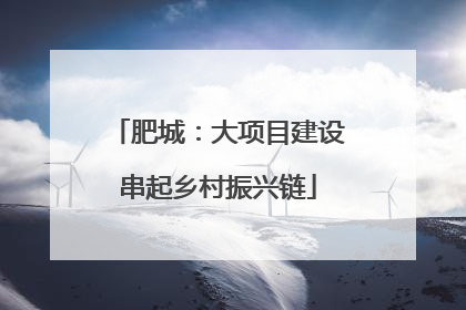 肥城：大项目建设串起乡村振兴链