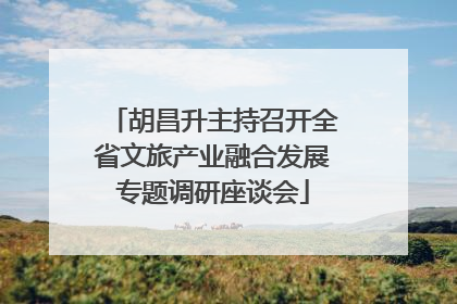 胡昌升主持召开全省文旅产业融合发展专题调研座谈会