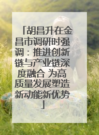 胡昌升在金昌市调研时强调：推进创新链与产业链深度融合 为高质量发展塑造新动能新优势