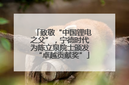 致敬“中国锂电之父”，宁德时代为陈立泉院士颁发“卓越贡献奖”