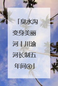 臭水沟变身美丽河丨川渝河长制五年间④