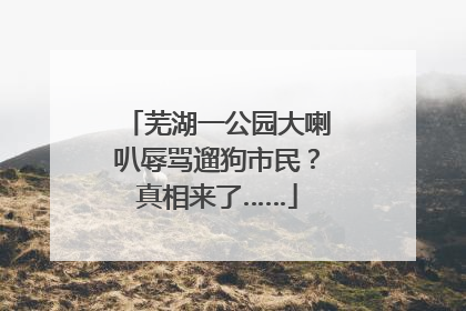 芜湖一公园大喇叭辱骂遛狗市民？真相来了……