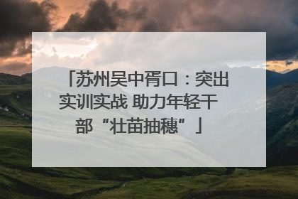 苏州吴中胥口：突出实训实战 助力年轻干部“壮苗抽穗”