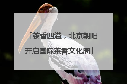 茶香四溢，北京朝阳开启国际茶香文化周
