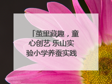茧里藏趣，童心创艺 乐山实验小学养蚕实践绘就成长画卷