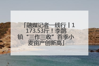 融媒记者一线行丨1173.53斤！李鹊镇“三作三收”首季小麦亩产创新高