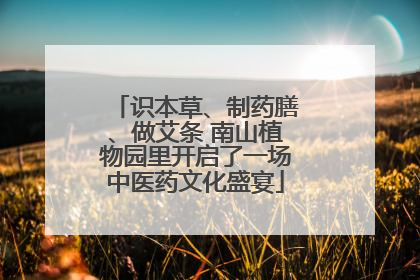 识本草、制药膳、做艾条 南山植物园里开启了一场中医药文化盛宴