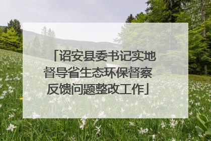 诏安县委书记实地督导省生态环保督察反馈问题整改工作