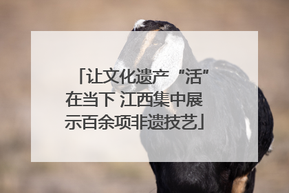 让文化遗产“活”在当下 江西集中展示百余项非遗技艺