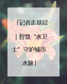 记者走基层｜智慧“水卫士”守护城市水脉