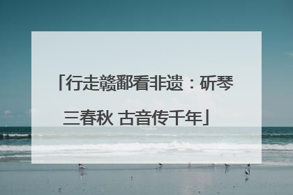 行走赣鄱看非遗：斫琴三春秋 古音传千年