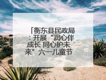 衡东县民政局：开展“润心伴成长 同心护未来”六一儿童节系列关爱活动