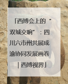 西博会上的“双城交响”：四川六市州共展成渝协同发展画卷｜西博视界