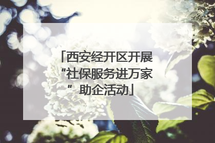 西安经开区开展“社保服务进万家”助企活动