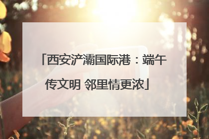 西安浐灞国际港：端午传文明 邻里情更浓