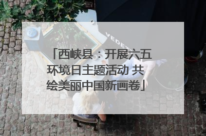 西峡县：开展六五环境日主题活动 共绘美丽中国新画卷