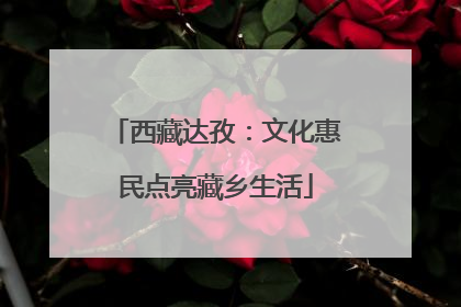 西藏达孜：文化惠民点亮藏乡生活