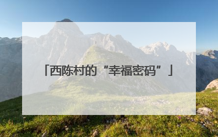 西陈村的“幸福密码”