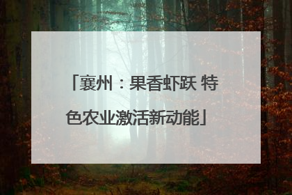 襄州：果香虾跃 特色农业激活新动能