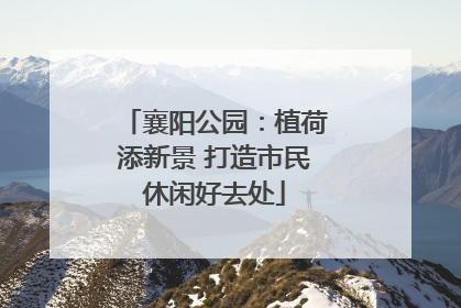 襄阳公园：植荷添新景 打造市民休闲好去处