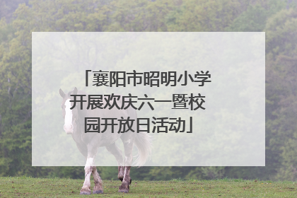 襄阳市昭明小学开展欢庆六一暨校园开放日活动