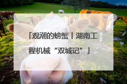 观潮的螃蟹丨湖南工程机械“双城记”