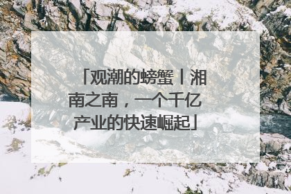 观潮的螃蟹丨湘南之南，一个千亿产业的快速崛起
