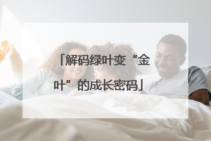 解码绿叶变“金叶”的成长密码