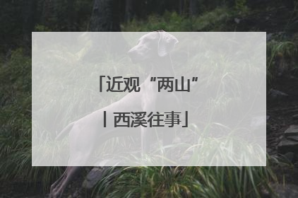 近观“两山”丨西溪往事