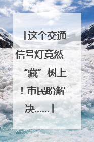 这个交通信号灯竟然“藏”树上！市民盼解决……