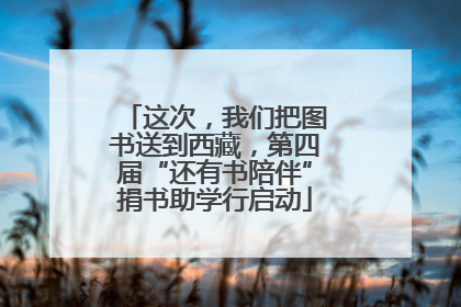 这次，我们把图书送到西藏，第四届“还有书陪伴”捐书助学行启动